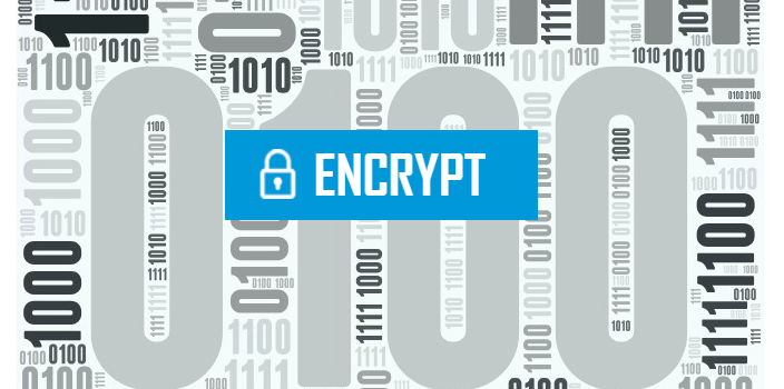 VoIP Encryption : Is your network Secure?